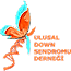 Down Sendromu